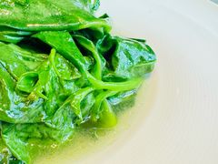 木耳菜-佬太公海鸭·海鲜大排档(上海总店)