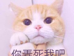 -美浓蛋糕(长清大学城店)