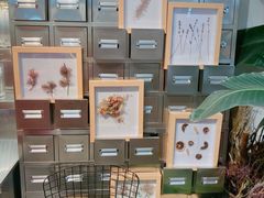 -植物学家的女儿(北马道巷店)