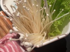 -额尔敦传统涮(公园西路店)