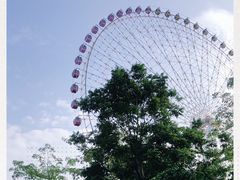 -凤岭儿童公园