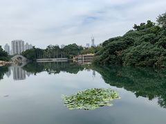 -荔枝公园(福田区)