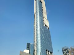 -紫峰大厦