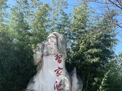 -习家池