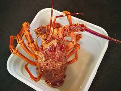 -同乐酒楼(皇后镇店)