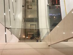 -陈露国际冰上中心(天津嘉里汇店)