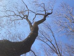 -北京西山国家森林公园