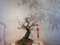 -沧浪亭