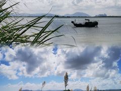 -芒洲湿地公园