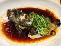 清蒸老虎斑-顺德了能馆(虎门店)