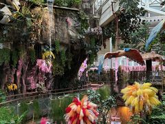 -正佳雨林生态植物园