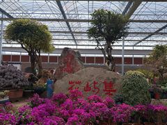 -沂蒙云瀑洞天景区