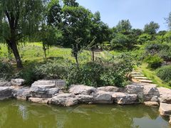 -北京西山国家森林公园