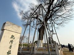 -观潮胜地公园