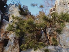 -文瀛公园