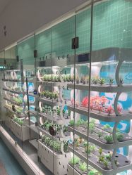 -MINI MARS 移动的空间站乐园·餐饮·派对(浦东金桥店)