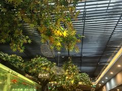 -阳光院坝小龙虾(红牌楼店)