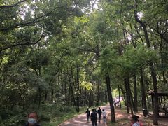 -青龙山国家森林公园