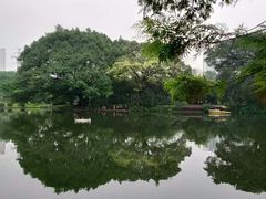 -晓港公园