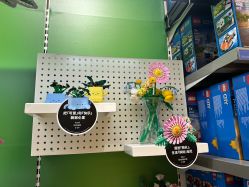 -乐高授权专卖店(朝阳大悦城店)