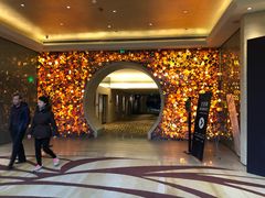 -北京朝阳悠唐皇冠假日酒店