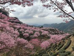 -灵光寺
