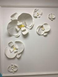 -babiline芭比莱恩半永久纹眉纹唇发际线