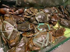 -Isla Sugbu Seafood City