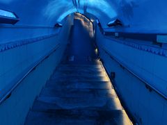 -洞庭洲·防空洞火锅·铜锅涮肉·烧烤(新百广场店)