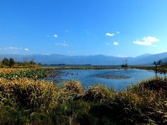 -西昌邛海湿地