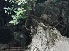 -杭州西湖风景名胜区-三生石