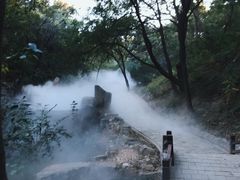 -北京西山国家森林公园