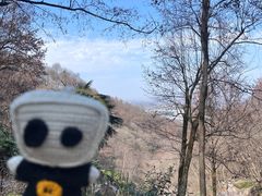 -永泉忆江南12景区
