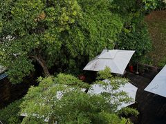 -老洋房花园饭店(绍兴路店)