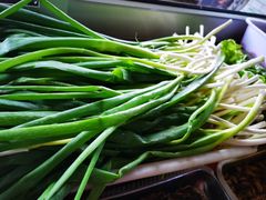 -金台阶鱼馆(于桥水库店)