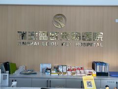 -瑞派雷欧宠物医院·24h夜诊·心脏骨科牙科·全科重症转诊中心(无影山店)