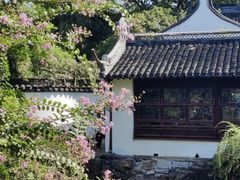 -上海醉白池公园