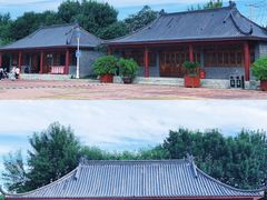-大港湿地公园