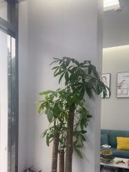 -苗方清颜专业祛痘·皮肤管理