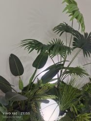 -HEYAN荷妍专业脱毛连锁机构