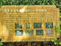 -水濂山森林公园