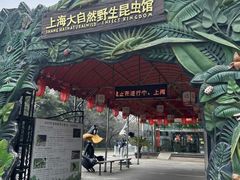 -上海大自然野生昆虫馆(东方明珠·爬宠昆虫探索中心)