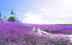 点击看大图 -青禾蒙娜丽莎婚纱摄影(武汉总店)