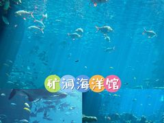 -长鹿旅游休博园