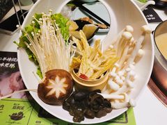 -洪氏嗨捞·猪肚鸡火锅(阳光天地店)