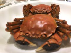 -西湖春天•老字号杭州菜(百汇店)