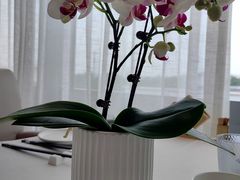 -悦融·京鲁菜·露台花园(安定门店)