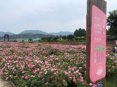 -君乐宝优致牧场