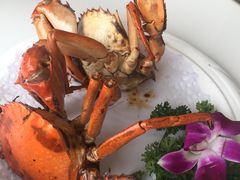 -鑫悦楼煎蟹·16年海鲜大排档