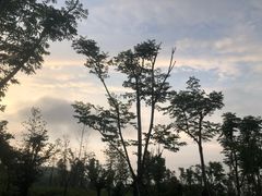 -南京市江宁方山